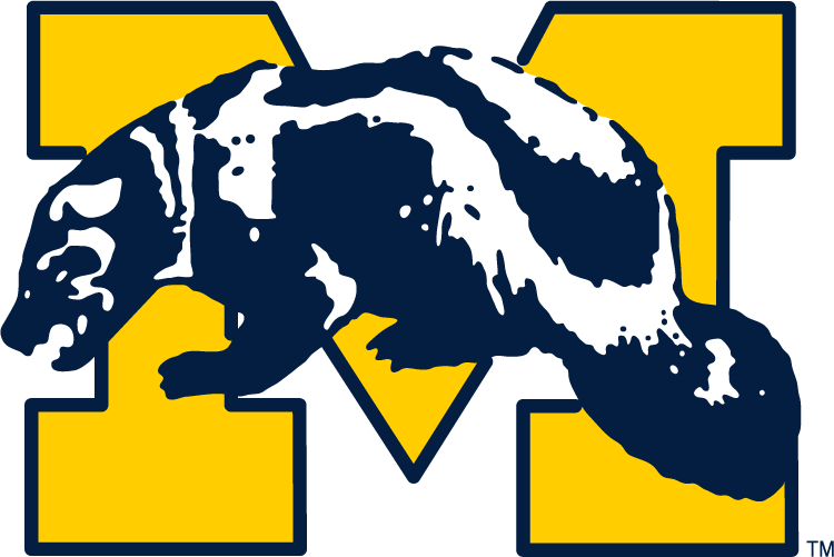 Michigan Wolverines 1964-1978 Primary Logo t shirts iron on transfers